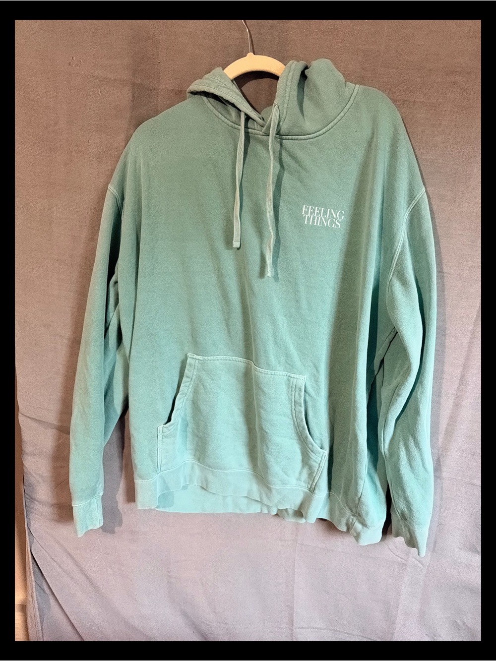 Mint Green Hoodie - feeling things- independent trading company